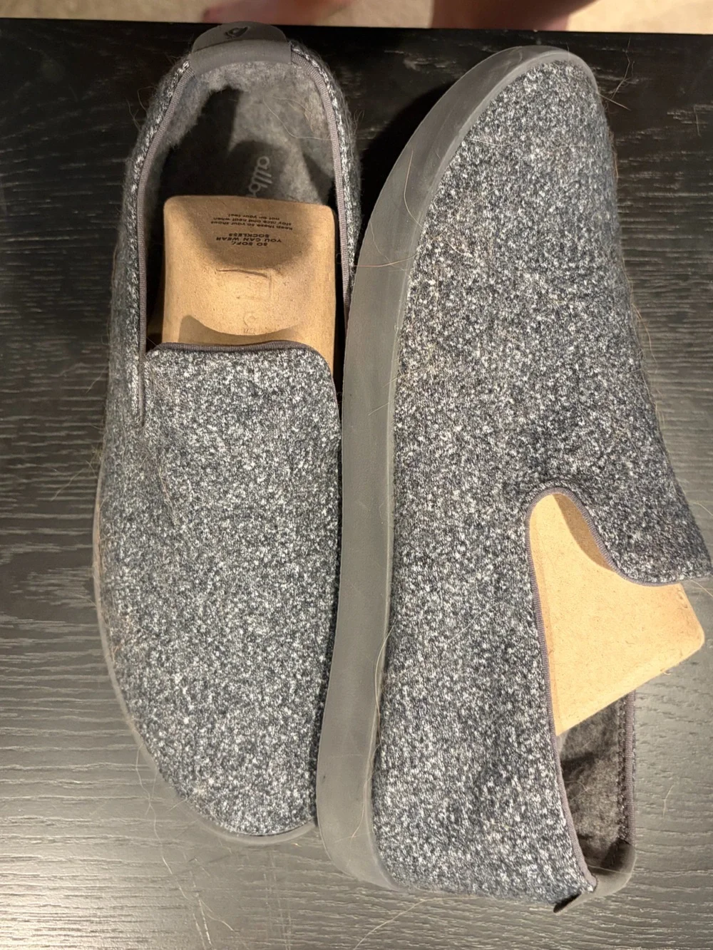 allbirds comfortable wool